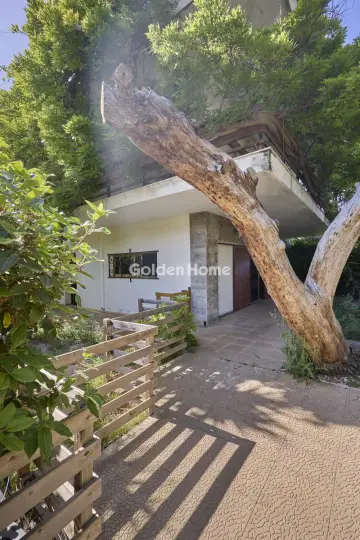 Κτίριο 480τ.μ. προς πώληση φωτογραφία 5