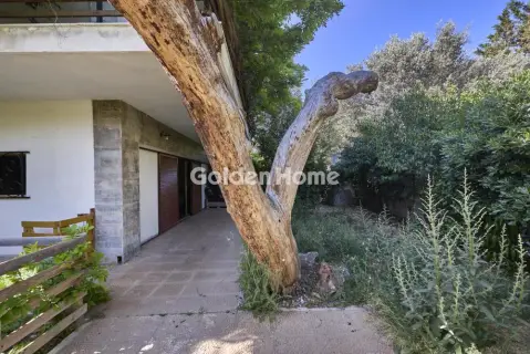 Κτίριο 480τ.μ. προς πώληση φωτογραφία 6