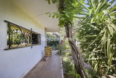 Κτίριο 480τ.μ. προς πώληση φωτογραφία 24