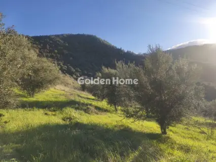 Αγροτεμάχιο 6508τ.μ. προς πώληση φωτογραφία 5358940