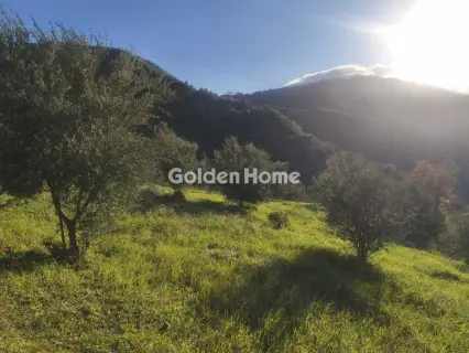 Αγροτεμάχιο 6508τ.μ. προς πώληση φωτογραφία 5358941