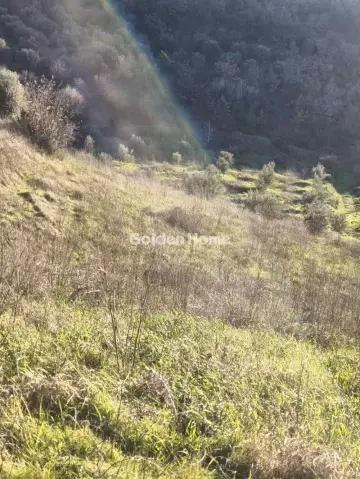 Αγροτεμάχιο 6508τ.μ. προς πώληση φωτογραφία 5358941