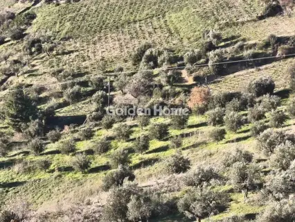 Αγροτεμάχιο 6508τ.μ. προς πώληση φωτογραφία 5358941