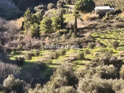 Αγροτεμάχιο 6508τ.μ. προς πώληση φωτογραφία 5358941