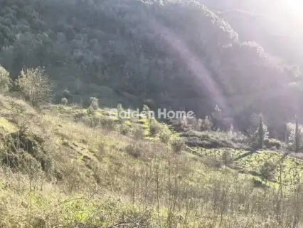 Αγροτεμάχιο 6508τ.μ. προς πώληση φωτογραφία 5358941