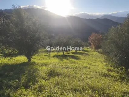 Αγροτεμάχιο 6508τ.μ. προς πώληση φωτογραφία 5358942