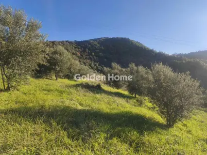 Αγροτεμάχιο 6508τ.μ. προς πώληση φωτογραφία 5358942