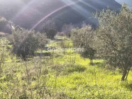 Αγροτεμάχιο 6508τ.μ. προς πώληση φωτογραφία 5358942