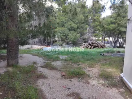 Μεζονέτα Εφαπτόμενη 307τ.μ. προς πώληση φωτογραφία 43