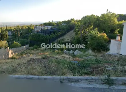 Έκταση 1052τ.μ. προς πώληση φωτογραφία 5429787