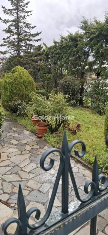 House 300m<sup>2</sup> for rent photo 9
