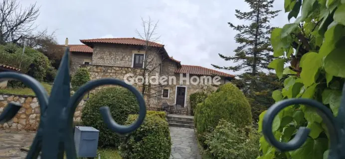 House 300m<sup>2</sup> for rent photo 1