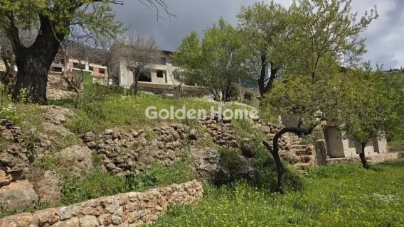 独立复式小屋 180m<sup>2</sup> for sale photo 91
