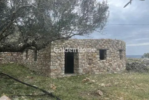 复合住宅 244m<sup>2</sup> for sale photo 1