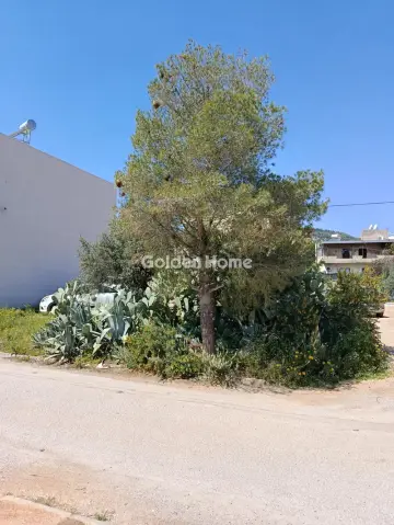 住宅 206m<sup>2</sup> for sale photo 5372080