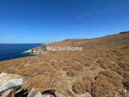 Αγροτεμάχιο 4003τ.μ. προς πώληση φωτογραφία 5365247