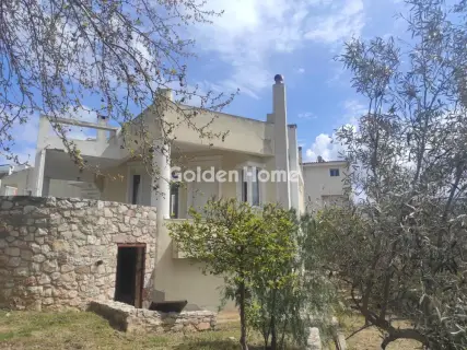 Μονοκατοικία 466τ.μ. προς πώληση φωτογραφία 1