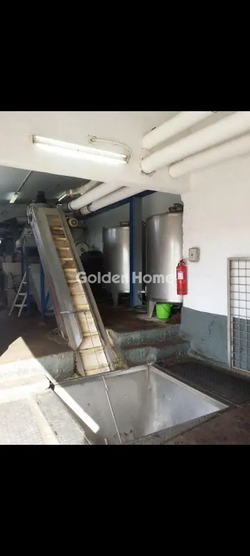 Βιομηχανικός - Βιοτεχνικός Χώρος 260τ.μ. προς πώληση φωτογραφία 4