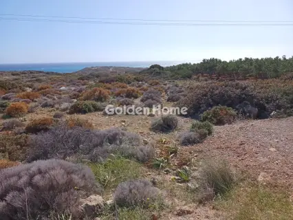 住宅 12644m<sup>2</sup> for sale photo 8