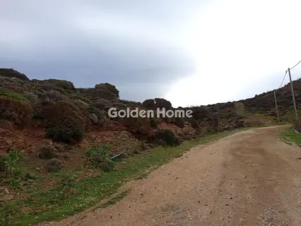 住宅 12644m<sup>2</sup> for sale photo 4