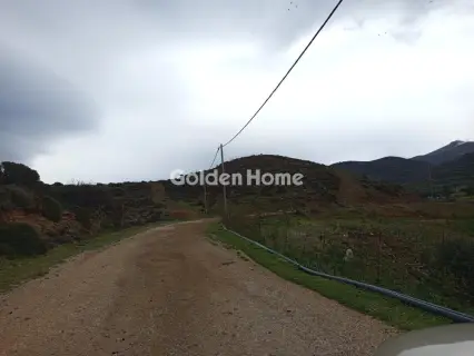 住宅 12644m<sup>2</sup> for sale photo 11