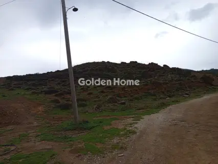 住宅 12644m<sup>2</sup> for sale photo 3