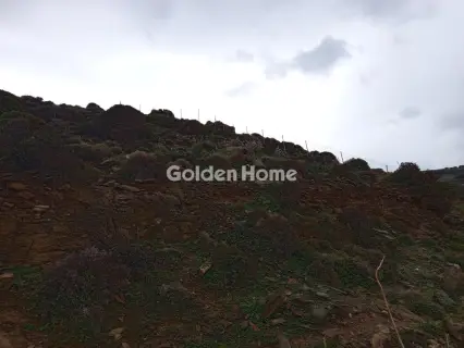 住宅 12644m<sup>2</sup> for sale photo 5