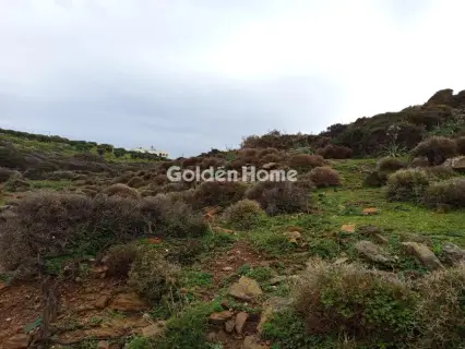 住宅 12644m<sup>2</sup> for sale photo 7