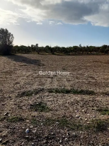 Οικιστικό 4000τ.μ. προς πώληση φωτογραφία 3