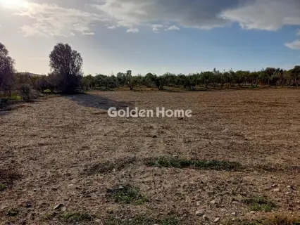 Οικιστικό 4000τ.μ. προς πώληση φωτογραφία 6