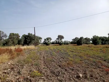 Οικιστικό 4000τ.μ. προς πώληση φωτογραφία 7