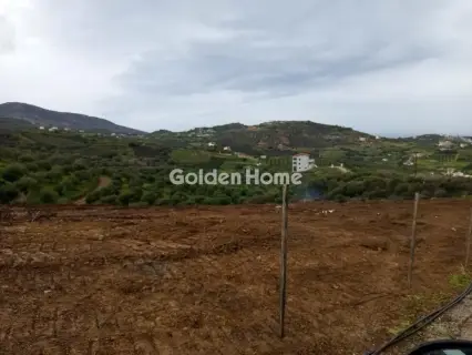 Οικιστικό 4000τ.μ. προς πώληση φωτογραφία 4