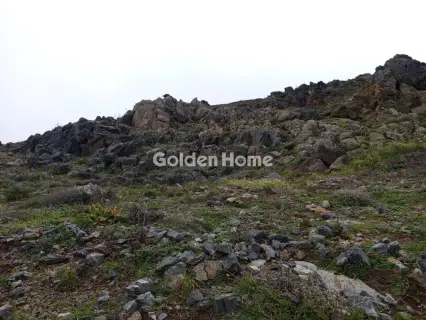 Οικιστικό 6076τ.μ. προς πώληση φωτογραφία 5364577