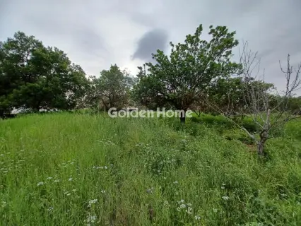 House 70m<sup>2</sup> for sale photo 7