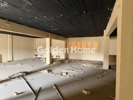 Βιομηχανικός - Βιοτεχνικός Χώρος 1950τ.μ. προς πώληση φωτογραφία 4