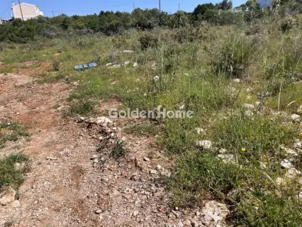 Residential 1024m<sup>2</sup> for sale photo 5383835