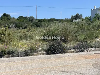 Residential 1024m<sup>2</sup> for sale photo 5383844