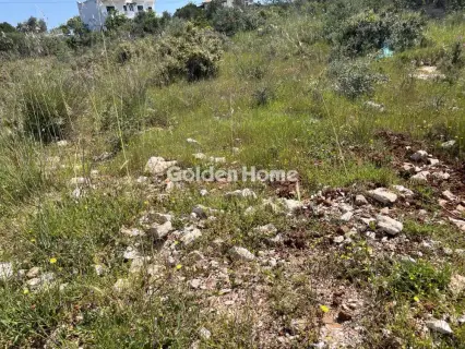 Residential 1024m<sup>2</sup> for sale photo 5383847