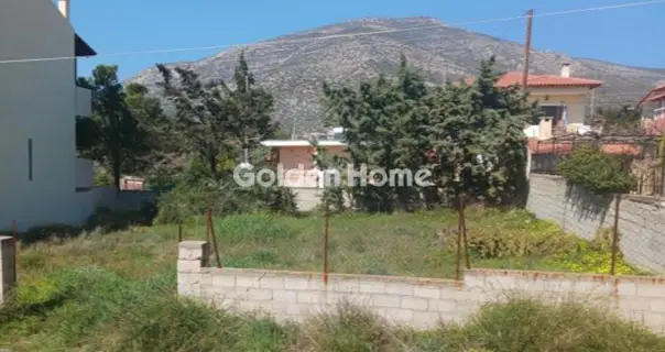 Οικιστικό 360τ.μ. προς πώληση φωτογραφία 5363484