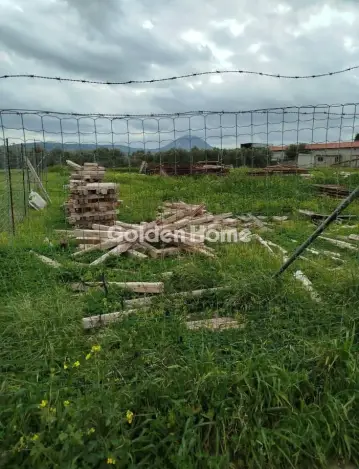 Professional Plot 1200m<sup>2</sup> for rent photo 1