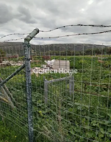 Professional Plot 1200m<sup>2</sup> for rent photo 3