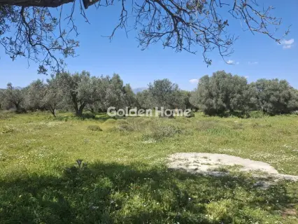 Οικιστικό 3493τ.μ. προς πώληση φωτογραφία 5376375