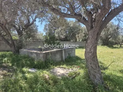 Οικιστικό 3493τ.μ. προς πώληση φωτογραφία 5376375