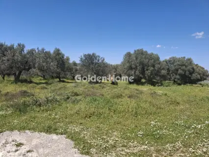 Οικιστικό 3493τ.μ. προς πώληση φωτογραφία 5376375