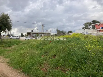 Αγροτεμάχιο 346τ.μ. προς πώληση φωτογραφία 5366145