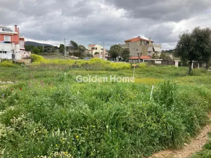 Αγροτεμάχιο 346τ.μ. προς πώληση φωτογραφία 5366145