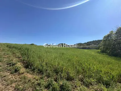 Οικιστικό 7655τ.μ. προς πώληση φωτογραφία 5373172