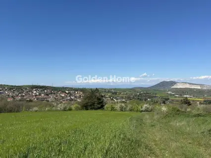 Οικιστικό 7655τ.μ. προς πώληση φωτογραφία 5373169