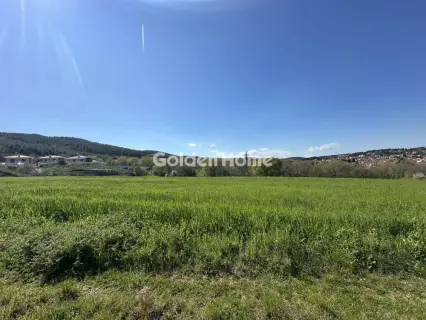 Οικιστικό 7655τ.μ. προς πώληση φωτογραφία 5373168