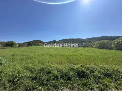 Οικιστικό 7655τ.μ. προς πώληση φωτογραφία 5373170